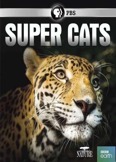 Super Cats Poster