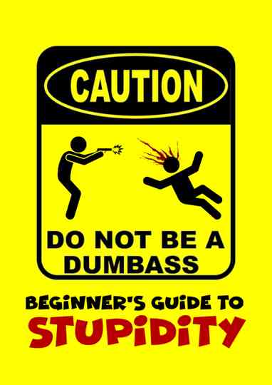 Beginner's Guide To Stupidity