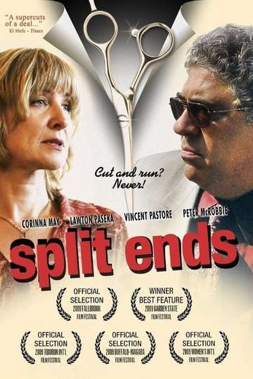 Split Ends Poster