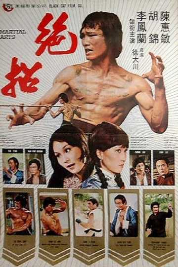 Martial Arts Poster