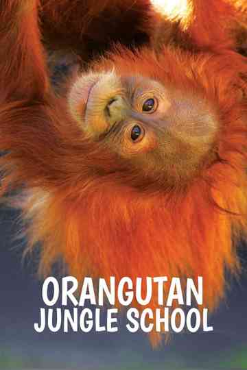Orangutan Jungle School Poster
