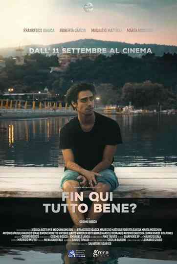 Fin qui tutto bene?