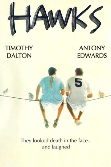 Hawks Poster