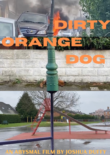 Dirty Orange doG Poster