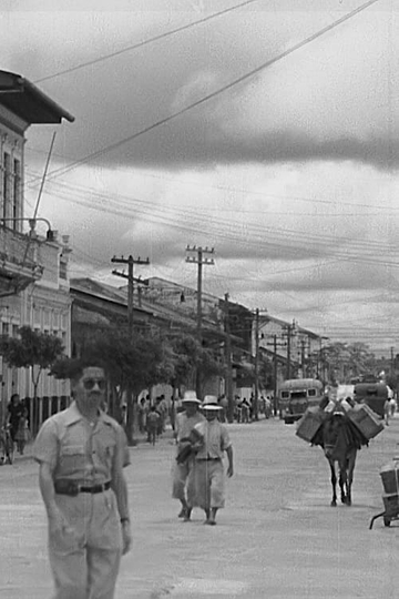 Iquitos, capital amazónica del Perú