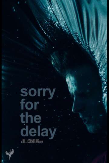 Sorry for the Delay Poster