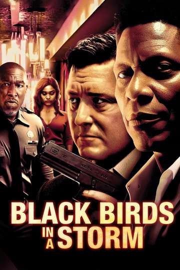 Black Birds in a Storm Poster