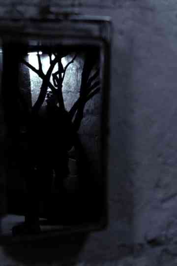 Presente continuo Poster