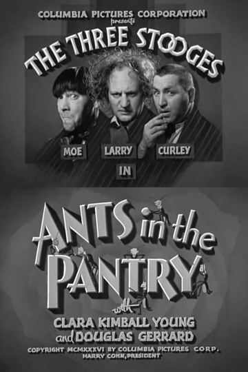 Ants in the Pantry