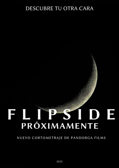 Flipside Poster