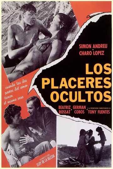 Hidden Pleasures Poster