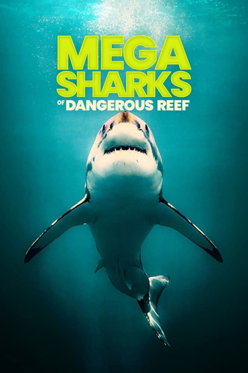 Megasharks of Dangerous Reef