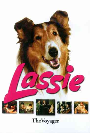 Lassie: Disappearance poster
