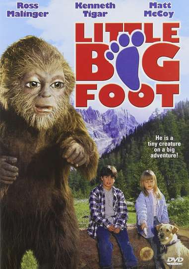 Little Bigfoot Poster