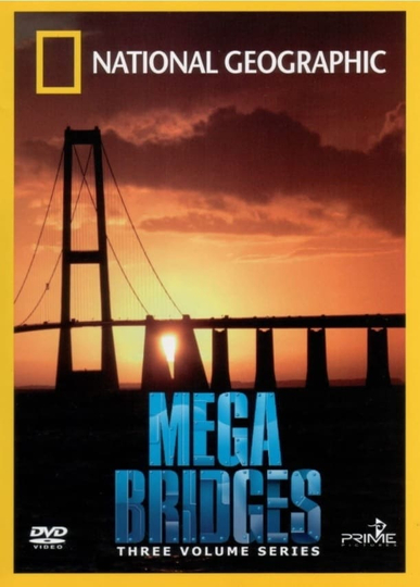 Mega Bridges