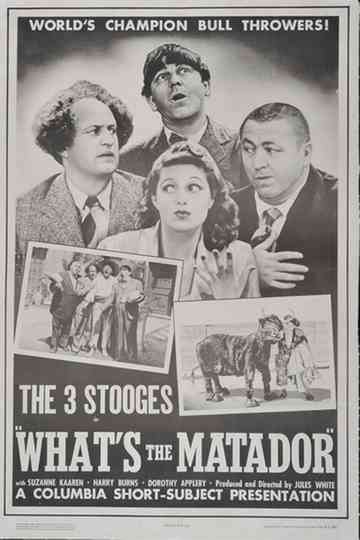 What's the Matador?