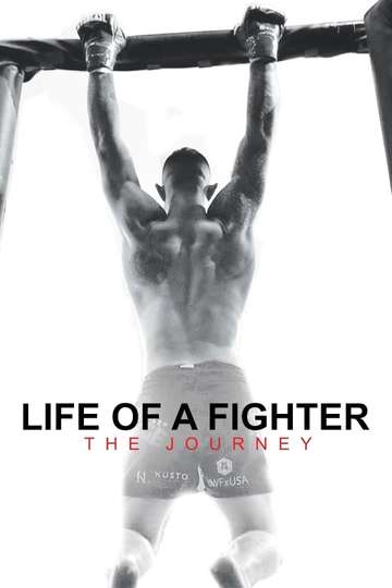Life of a Fighter: The Journey Poster