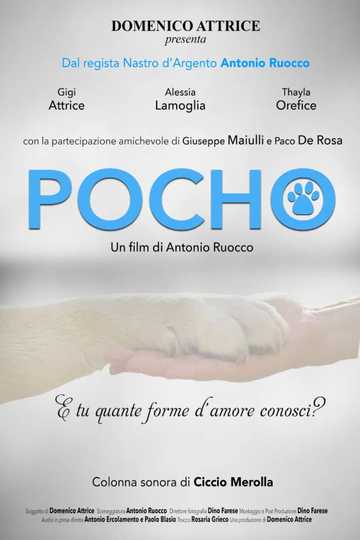 Pocho Poster