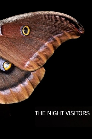 The Night Visitors