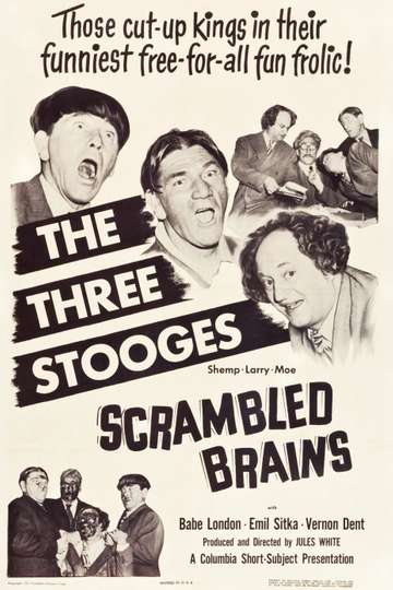 Scrambled Brains Poster