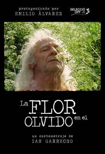 Flower in Oblivion Poster