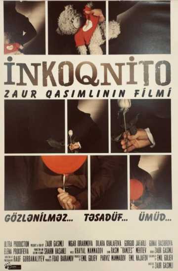 Incognito Poster