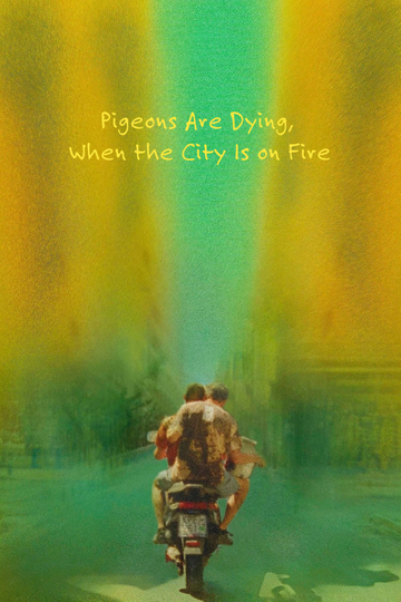 Pigeons Are Dying, When the City Is on Fire