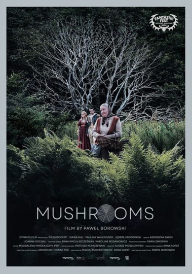 Mushrooms Poster