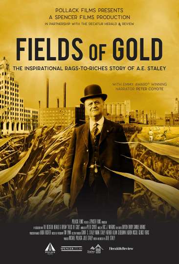 Fields of Gold Poster
