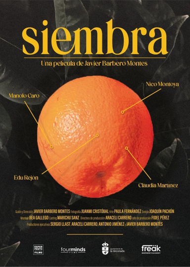 Siembra (c) Poster