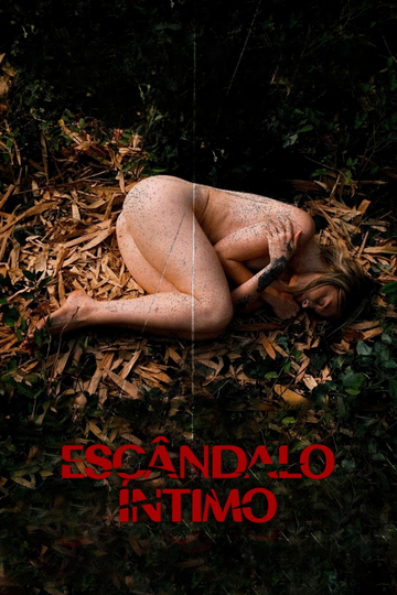 Escândalo Íntimo - O Filme Poster