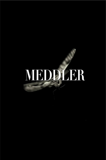 Meddler Poster