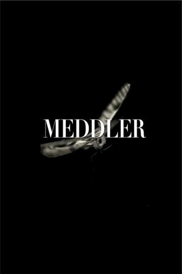 Meddler Poster