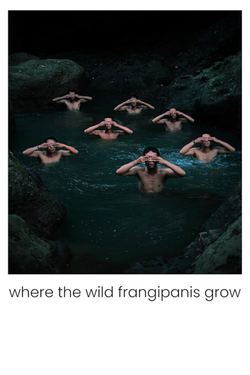 Where the Wild Frangipanis Grow