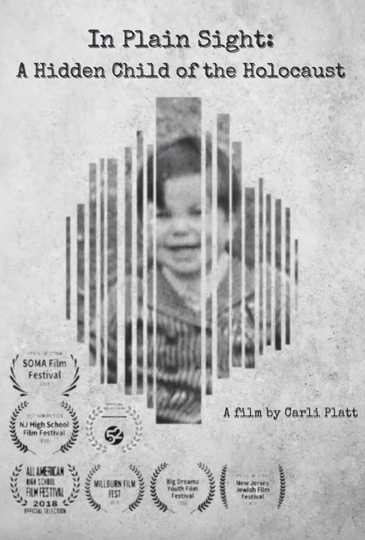 In Plain Sight A Hidden Child of the Holocaust Poster