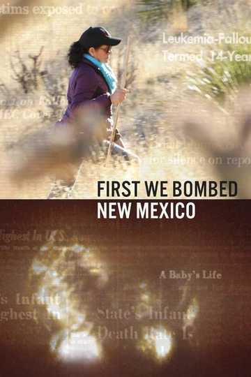 First We Bombed New Mexico Poster