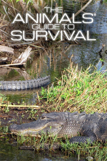 The Animals' Guide to Survival