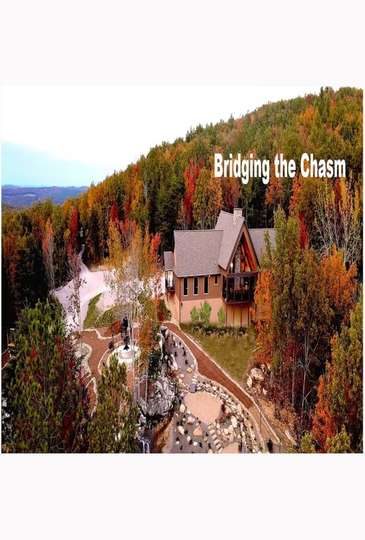 Bridging the Chasm Poster