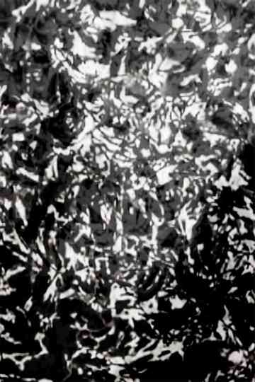 Mesh - P.I.V. 7 Poster