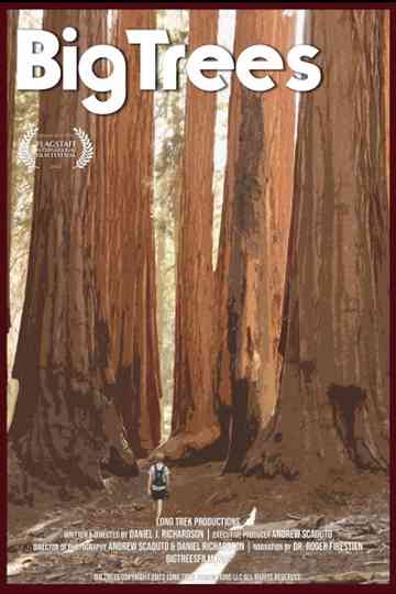 Big Trees