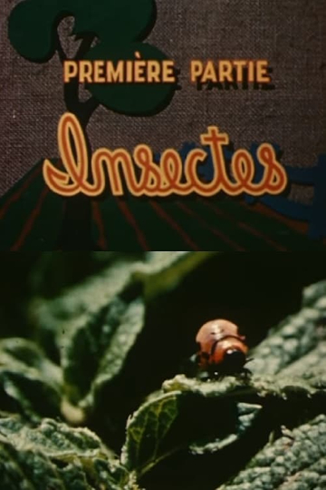 The Enemies of the Potato: Insects