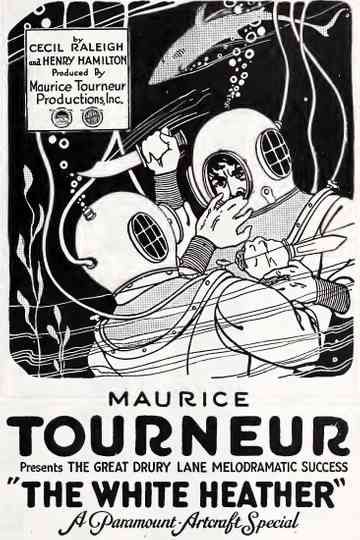 The White Heather Poster