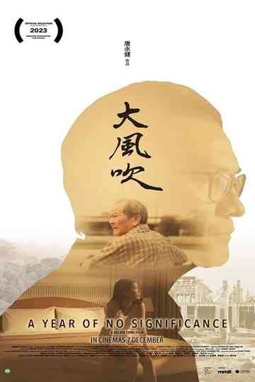 A Year of No Significance poster