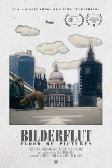 Bilderflut: Flood of Pictures