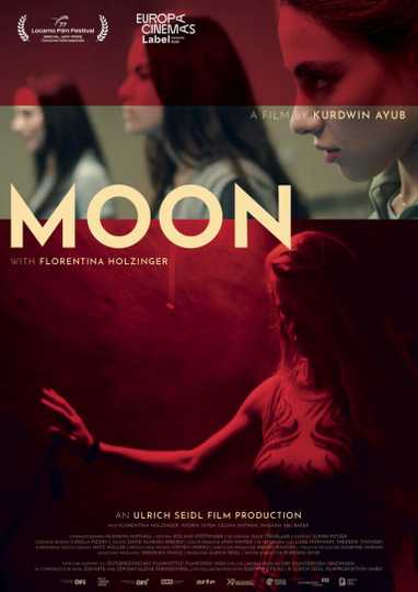 Moon Poster