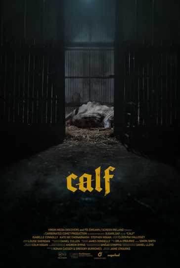 Calf Poster