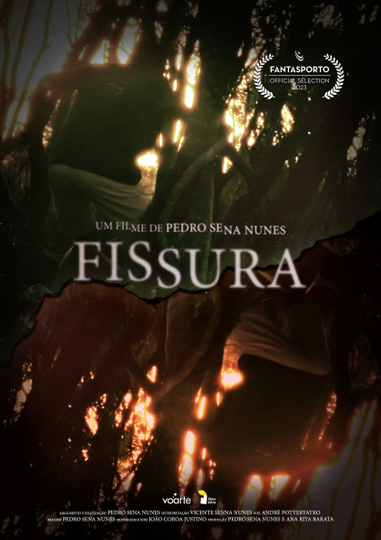 Fissura