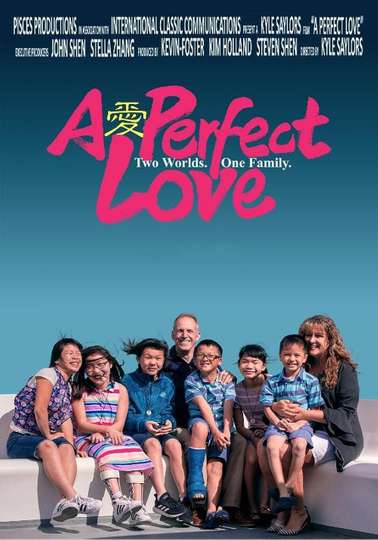 A Perfect Love Poster