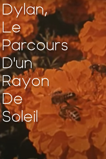 Dylan, le parcours d'un rayon de soleil Poster