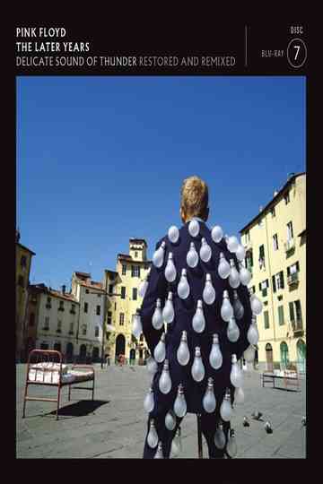 Pink Floyd - The Later Years Vol 2 - Delicate Sound Of Thunder Restored and Remixed